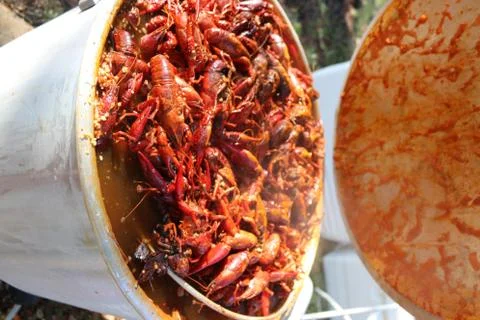 Crawfish Broil Stock Photos