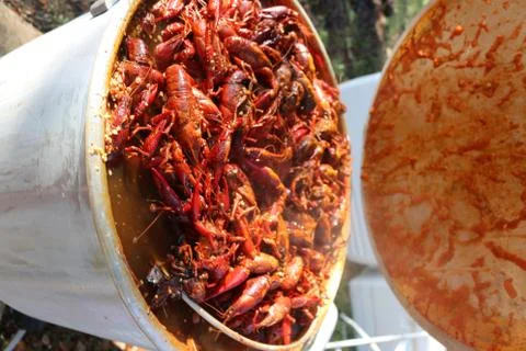 Crawfish Broil Stock Photos