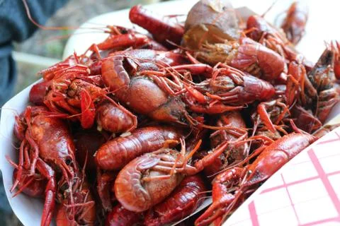 Crawfish Broil Stock Photos