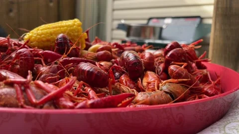 Crawfish Vidéo 154605863