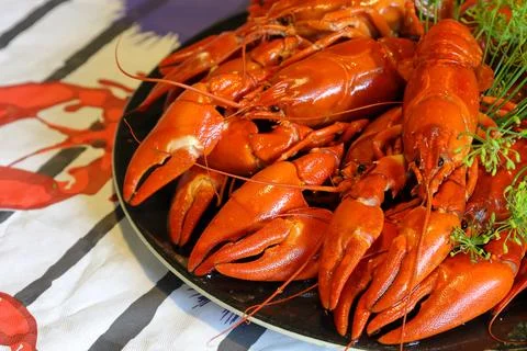 Crawfish party. Crayfis Stock Photos