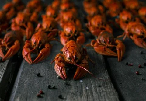 Crawfish Stock Photos