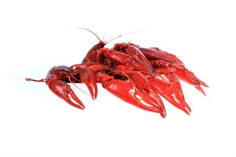 Crawfish Stock Photos