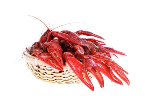 Crawfish Stock Photos