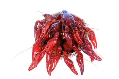 Crawfish Stock Photos
