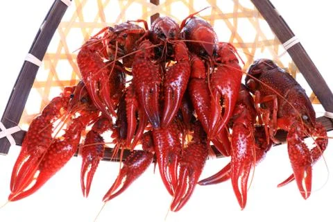 Crawfish Stock Photos