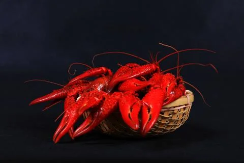 Crawfish Stock Photos