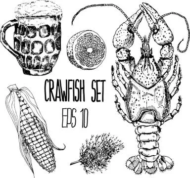 Crawfish set. Vector illustration. Stock Illustration