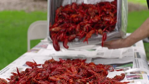 Crawfish in slow motion Stock Footage 133614110