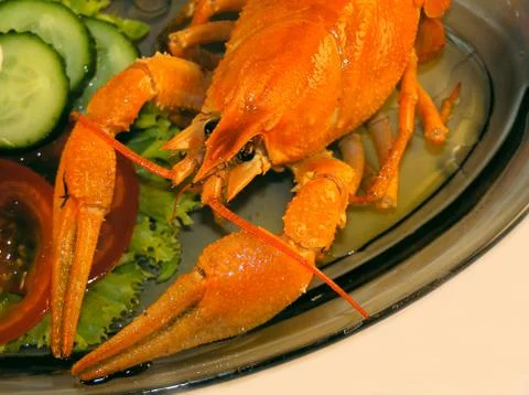 Crawfish1 Stock Photos