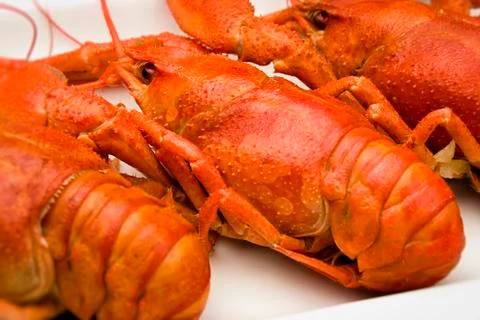 Crawfishes Stock Photos