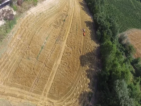 Crawler tractor with old harvester Stock Footage 75215210