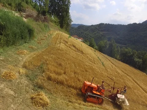 Crawler tractor with old harvester Stock Footage 75215220