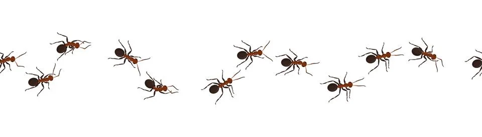 Crawling ants. Bugs marching at wall. Insect workers. Line trail. Termites gr Illustrazione stock