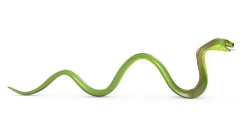 Crawling green cobra Stock Illustration