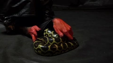 Crawling python and woman in black 動画素材 95723580