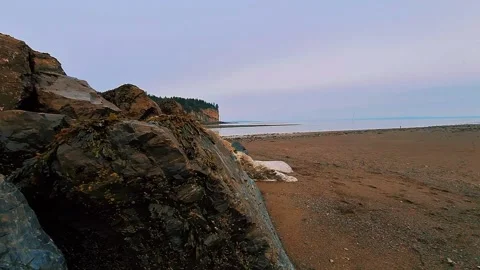 Crawling Shot Around Large Exposed Rocks Covered In Seaweed During Low Tide Stock Footage 255335771