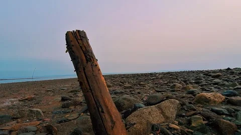 Crawling Shot Over The Ocean Floor During Low Tide Up Over Exposed Log Stock Footage 255335766