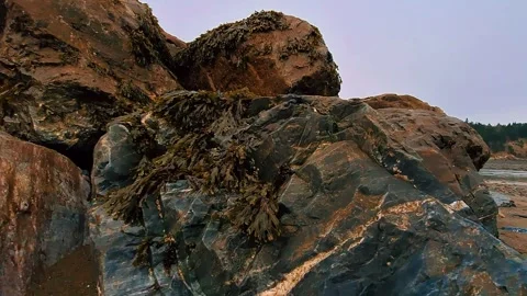 Crawling Shot Towards Large Rocks Covered In Seaweed During Low Tide Stock Footage 255335749