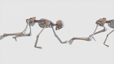 Crawling Skeletons Loop Stock Footage 265073215