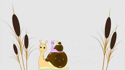 Crawling snails through the screen on a  transparent background. Stock Footage 148810770