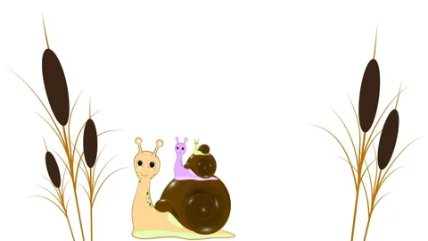 Crawling snails through the screen on a white and transparent background. Stock Footage 148810964