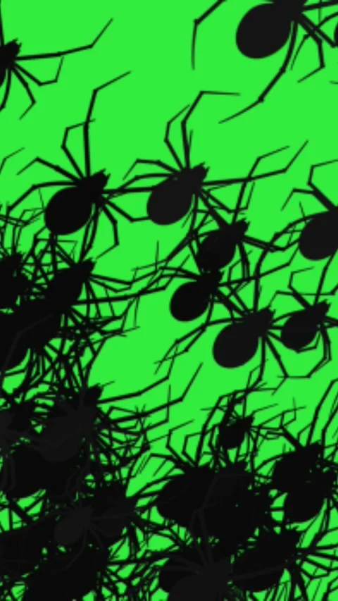 Crawling Spiders Vertical Green Screen Video Overlay Stock Footage 344767546