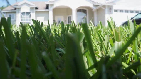 Crawling Thru Grass Stock Footage 24194457
