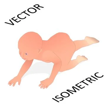 Crawling toddler in isometry. Stock Illustration
