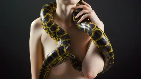 Crawling yellow python on girl's body on black background Stock-Footage 115086127