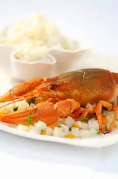 Cray fish on a bed of diced vegetables with a side of rice (Romania) Stock Photos