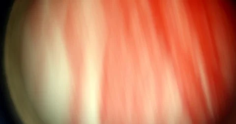 Cray fish in ultra macro through microscope looks like monster Stock Footage 110632365