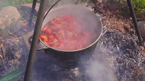 Crayfish are boiled at the stake on fire. Lunch in the open air. 스톡 동영상 94589244