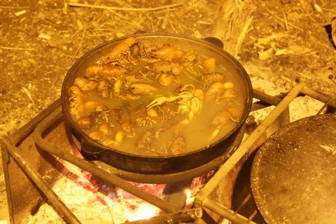 Crayfish are cooked in a cauldron on fire at night in nature. Healthy seafood Stock Photos