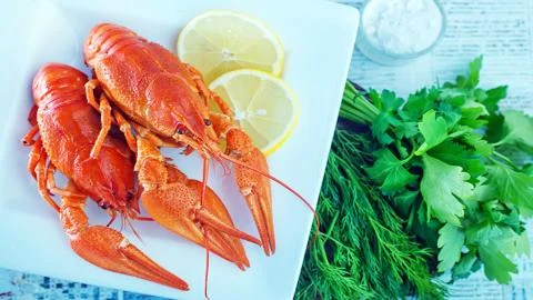 Crayfish to beer. Stock Photos