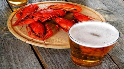 Crayfish to beer. Stock Photos