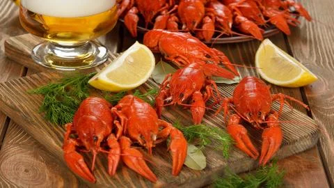 Crayfish to beer. Stock Photos