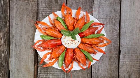 Crayfish to beer. Stock Photos