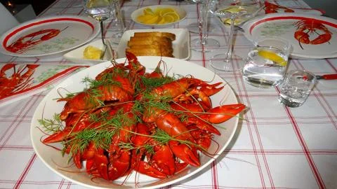 Crayfish to beer. Stock Photos