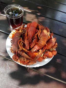 Crayfish with beer Stock Photos