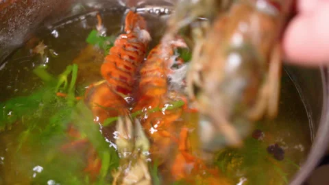 Crayfish boiled in a saucepan Stock Footage 254689560