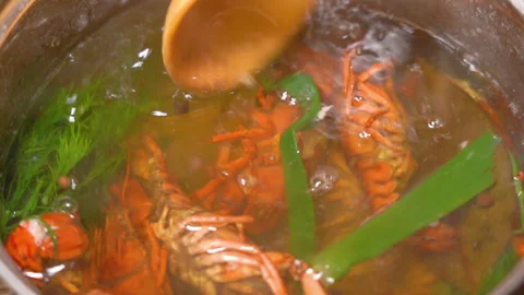 Crayfish boiled in a saucepan Stock Footage 254690147