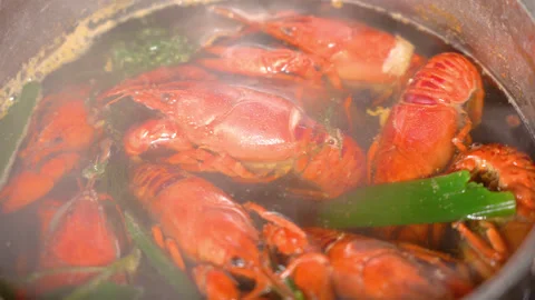 Crayfish boiled in a saucepan Stock Footage 254690270