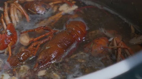 Crayfish in boiling water in a saucepan close up Stock Footage 179989095