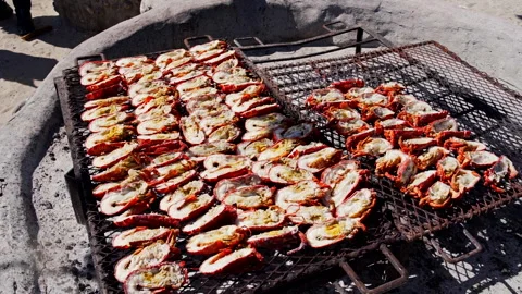 Crayfish on a braai Stock Footage 298207001