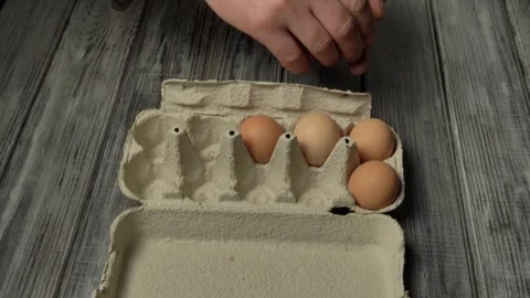 Crayfish carefully lay their eggs in an open box. The process of safely storing Stock Footage 330251127