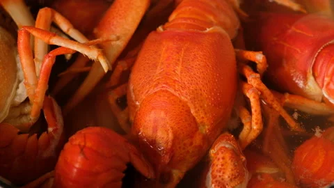 Crayfish cooked in boiling water with spices in a saucepan. 4k video Stock-Footage 92051734