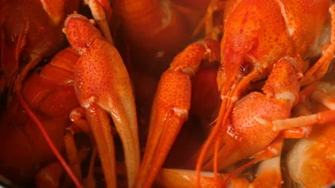 Crayfish cooked in boiling water with spices in a saucepan. 4k video Stock-Footage 92051795
