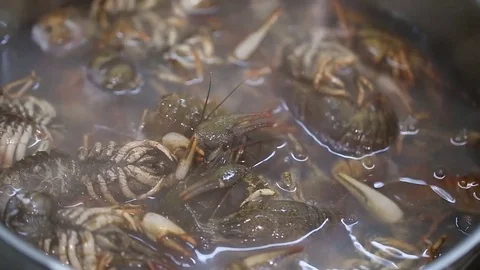 Crayfish cooked in a pan Stock-Footage 72744099
