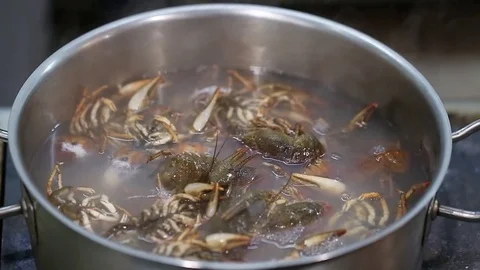 Crayfish cooked in a pan Video stock 72744129